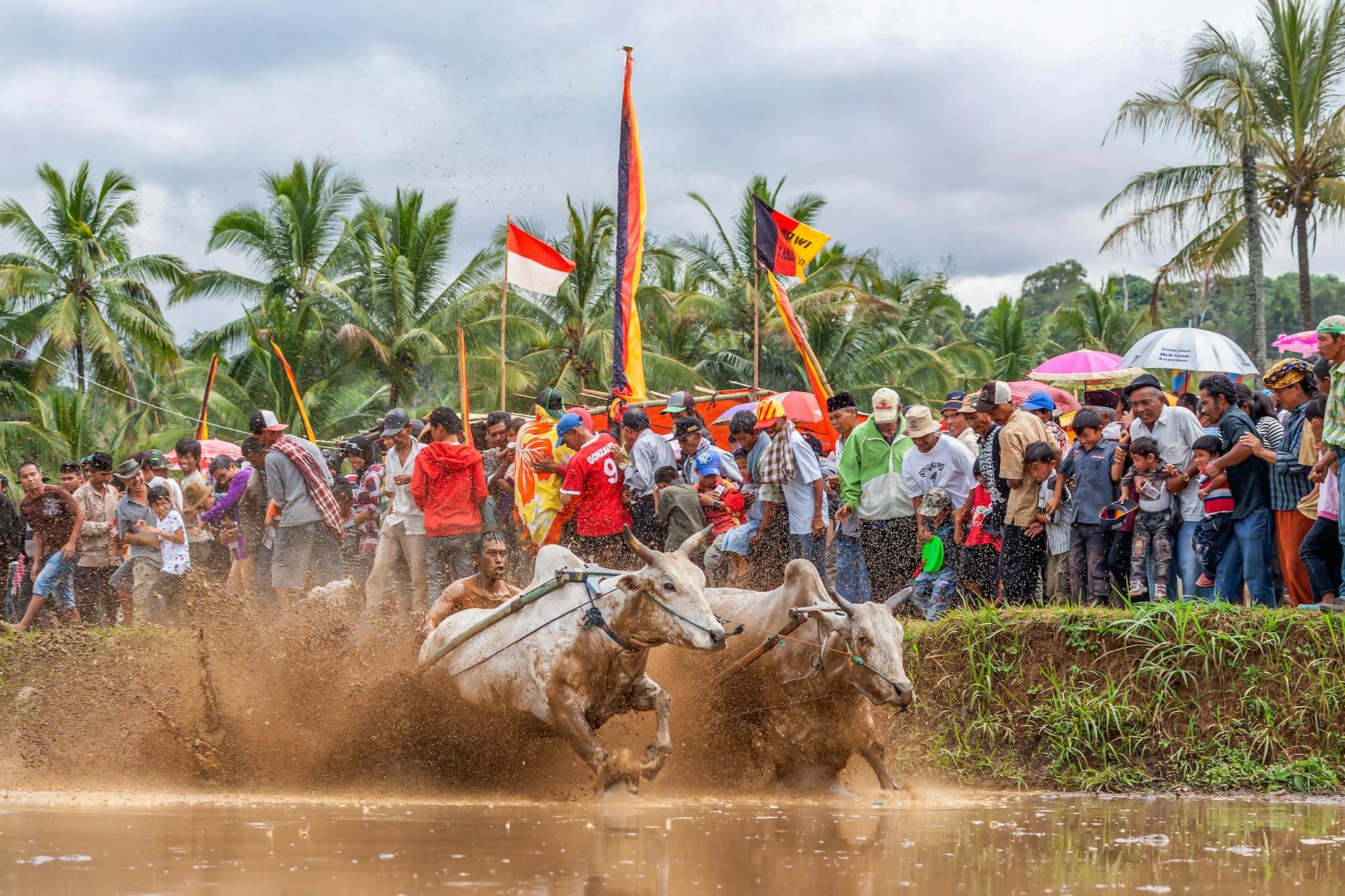 Crowds celebrating at a community festival — FAIPLAY.